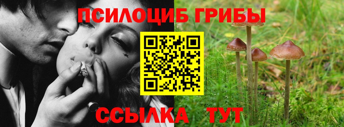 Псилоцибиновые грибы Cubensis  Вход с VPN  Псилоцибиновые грибы Psilocybe  Лосино-Петровский 